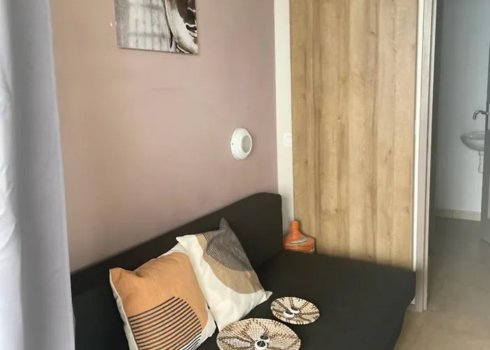 Vue Incroyable Aux Portes De Monaco *